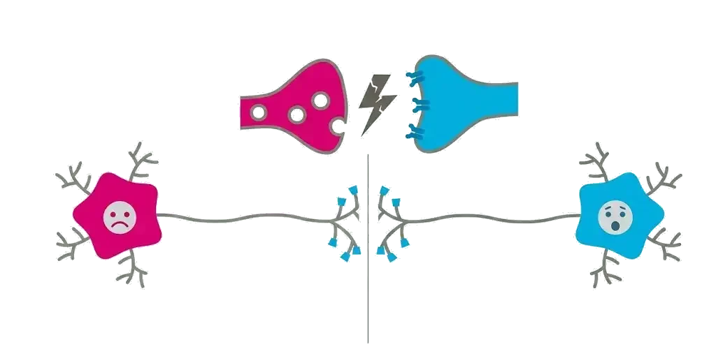 Neuronale Verbindung durch Coaching